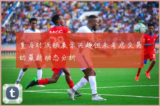 皇马对沃顿表示兴趣但未考虑交易的最新动态分析