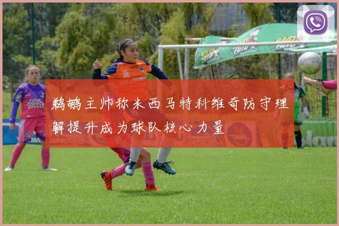鹈鹕主帅称米西马特科维奇防守理解提升成为球队核心力量