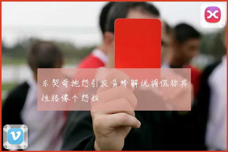 东契奇抱怨引发黄蜂解说调侃称其性格像个怨妇